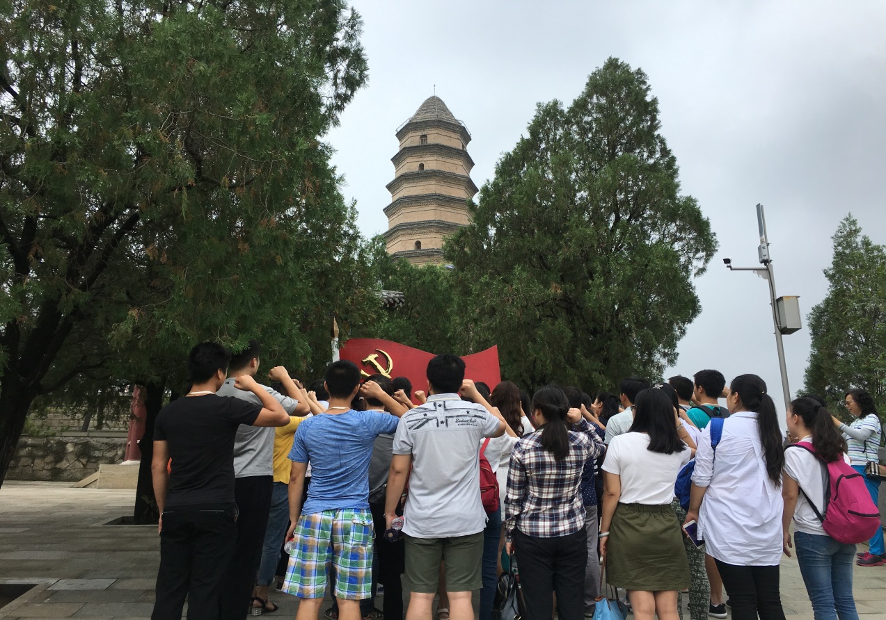 1504253270633384.jpg 6.jpg